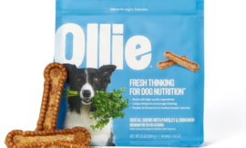 BEST OLLIE DOG FOOD FOR 2025