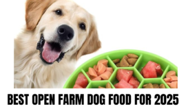 BEST OPEN FARM DOG FOOD FOR 2025