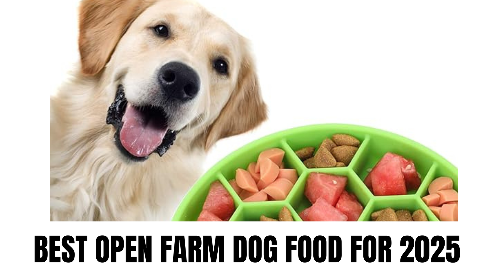 BEST OPEN FARM DOG FOOD FOR 2025