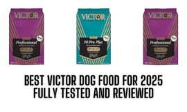 BEST 13  VICTOR DOG FOOD: FULLY TESTED AND REVIEWED