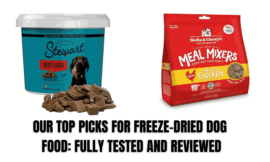 TOP 12 FREEZE DRIED DOG FOOD: FULLY TESTED AND REVIEWED