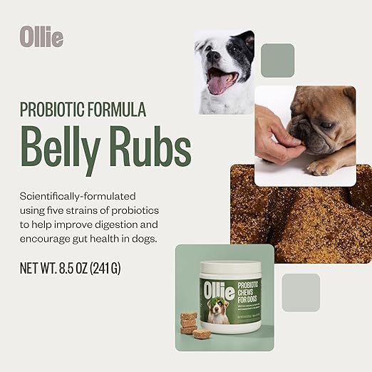 Ollie Belly Rubs Dog Probiotic Chews