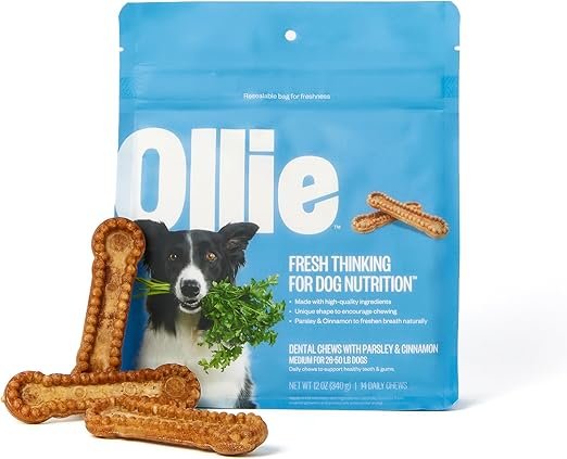 Ollie Dental Chews for Dogs Medium