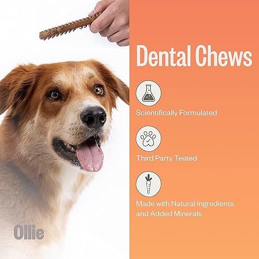 Ollie Dental Chews for Dogs